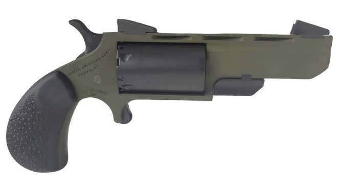 NAA The Green Huntsman 22 Mag