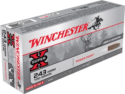 Power-Point 243WSSM