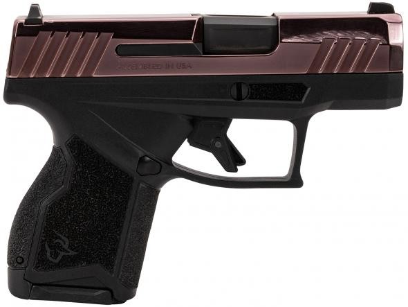 Taurus GX4 Micro-Compact Frame 9