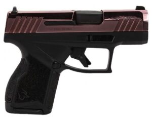 Taurus GX4 Micro-Compact Frame 9